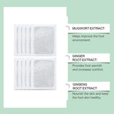 Detox Foot Patches (10 Patches)