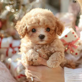 Original Realistic Puppy Toy 🐶