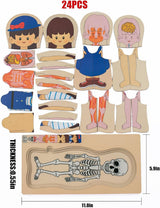Multi-Layer Children’s Body Structure Puzzle Toys for Boys Girls Educational Kids Intelligence Toy Bright Colors and Cartoon Patterns